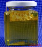 Yuneiko Bio Robinien-Honig - Seitenansicht mit Bienenwabe